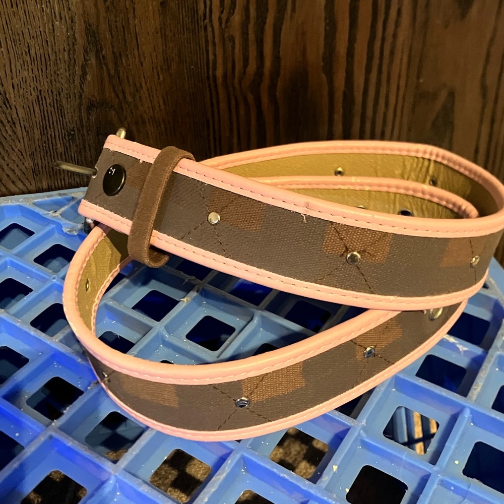 Burton Belt